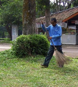 Landscape Maintenance